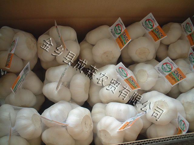 fresh garlic