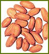 AGRO PRODUCTS -   Groundnut  Kernels (Peanut)-