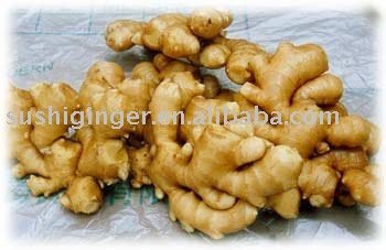 Chinese Fresh Ginger