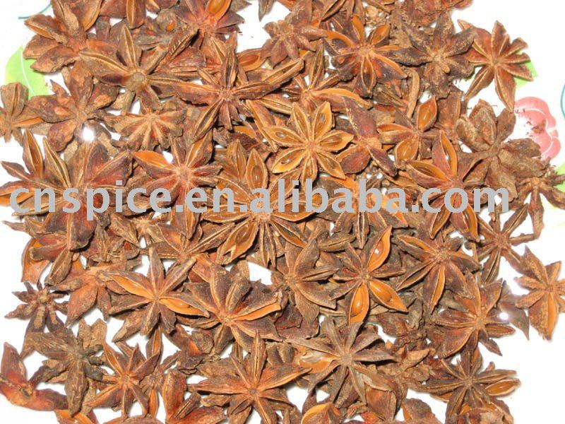 Star aniseed