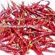 Dried Red Chilly