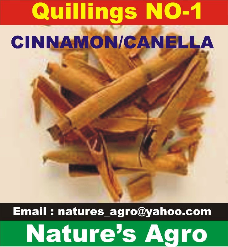 Ceylon CINNAMON from Sri Lanka