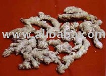 fresh   dried ginger from ivory coast
