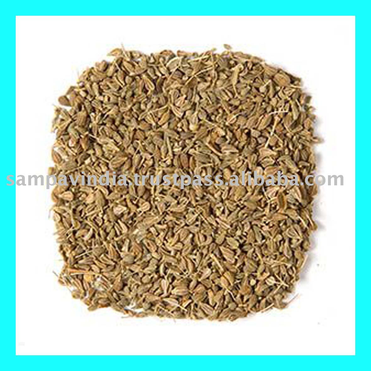 ANISEED