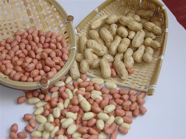 Peanut Inshell