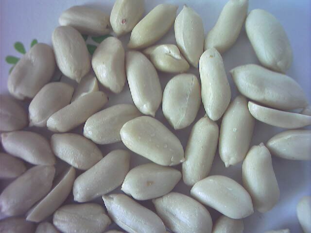 Blanched Peanut