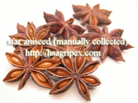 Big quantity of Vietnam star aniseed