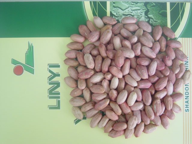 Peanut kernels