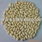 Blanched Peanut kernels