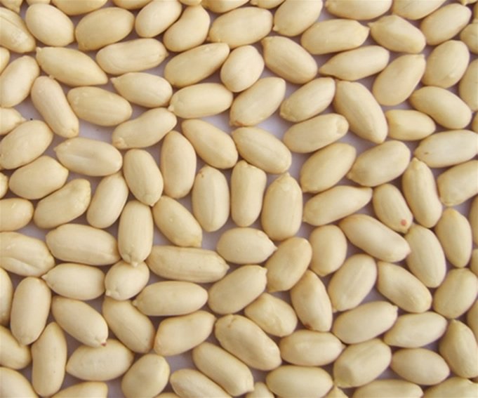 Blanched Peanuts
