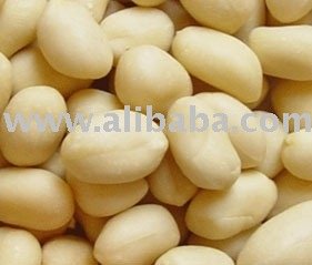 Blanched Peanut Kernel