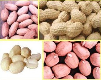 Groundnuts