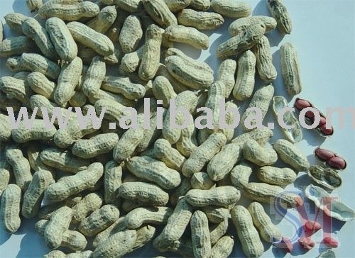 Peanut In Shell With Red  Skin  Peanut Kernel