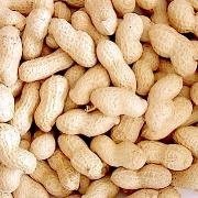 roasted peanut in shell