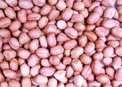 Peanut, Blanch Peanut,  Raw  Material, Roast Peanut