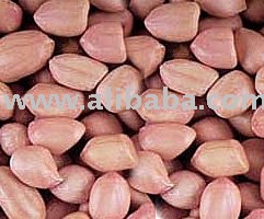 Indian Groundnut
