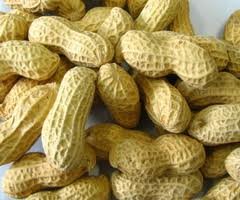  roasted  peanut  inshell 
