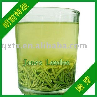 China Tea XinYang Maojian Tea