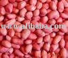 peanut kernels red skin type