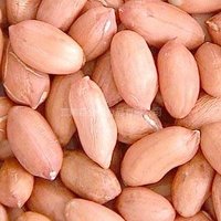 Quality peanuts for sale