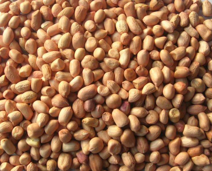  peanut  kernal
