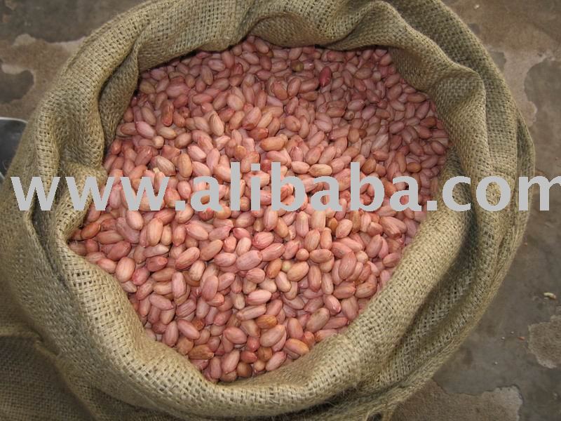 Peanut Kernels
