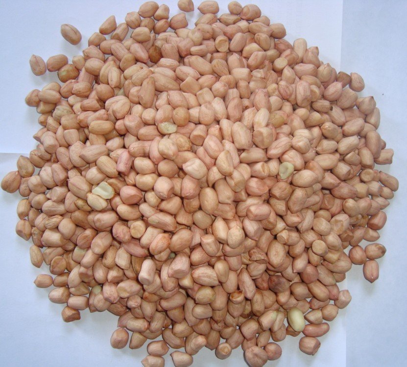 Peanut