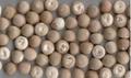 Severdhan New Crop
