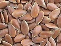 Flax  seeds  /  Linseed s