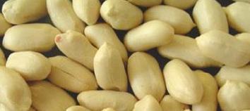 Peanut