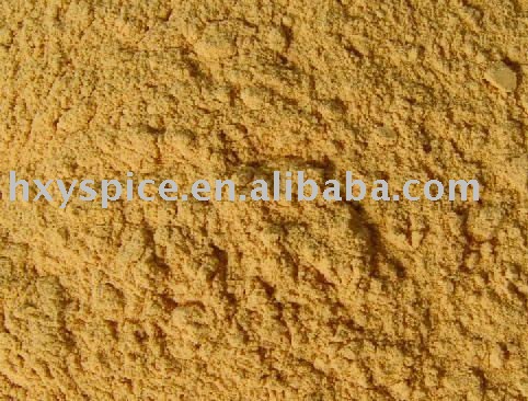 Dry Ginger  Powder