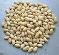Blanched Peanut Kernels