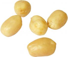 Nuts Turkey