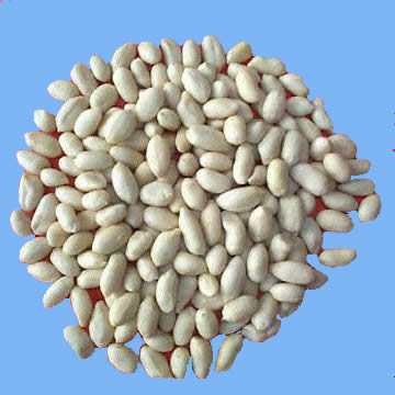 Blanched Peanut Kernels