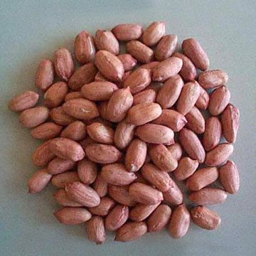 Peanut Kernels