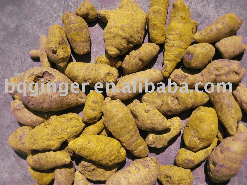 mother tumeric spice