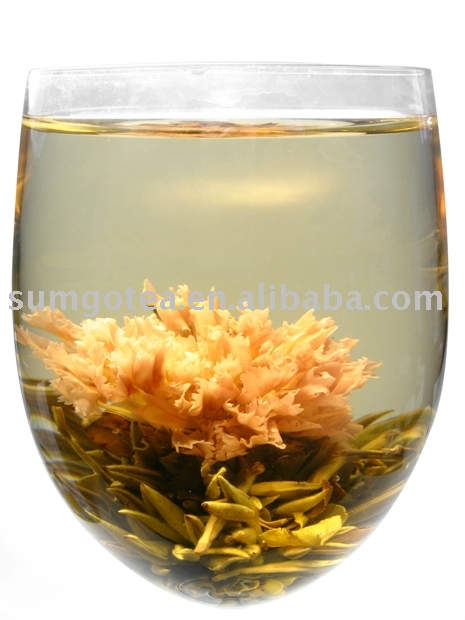  Carnation  Seat Blooming Tea