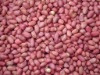 sili  red   Peanut s