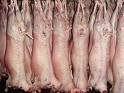 Australian  Frozen   Mutton   Carcass 