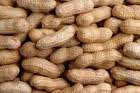 peanuts for sale