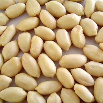 Blanched Peanuts