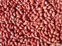 Peanuts