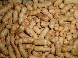 Walnuts,Hazelnuts,Pistachio,Pine nuts, almond