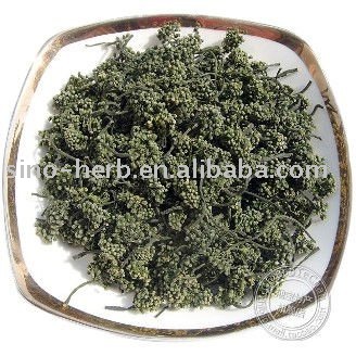 Flos Notoginseng Sanchi Flower Herbal Tea