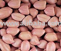 Processed Groundnut