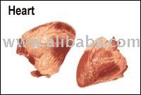 Heart  of cattle
