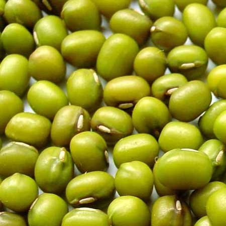 Mung Beans,South Africa price supplier - 21food