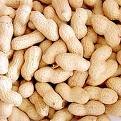 Ground Nuts With Shell