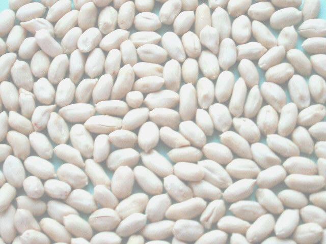 Peanut And Blanched Peanut