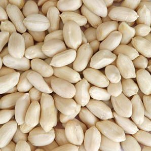 2010 New  Round   Blanched   Peanut   Kernel 